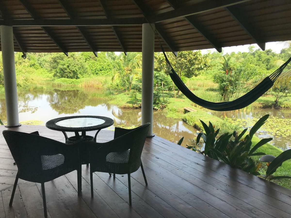 Jungle Heart Cabanas Danwattegoda ภายนอก รูปภาพ